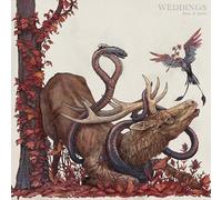 Weddings - Book of Spells [VINYL]
