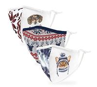 Weddingstar 3 Pack Kid's Washable Cloth Face Mask Reusable and Adjustable with Filter Pocket - Festive Fireside