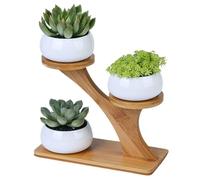 Wedhapy Cactus Pot 3 Pcs Succulent Plant Pot with 3 Tiered Plant Stand, Small Round Ceramic Plant Pots with Drainage Succulent Planters with Bamboo Holder Type1