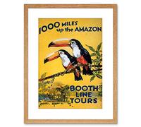 Wee Blue Coo 9x7 '' AMAZON TOUCAN JUNGLE RAIN FOREST VINTAGE FRAMED ART PRINT F97X183