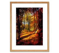 Wee Blue Coo 9x7 '' AUTUMN FOREST SUN ORANGE FRAMED ART PRINT PICTURE MOUNT PHOTO F97X189