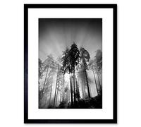 Wee Blue Coo 9x7 '' TREES LIGHT FOG BLACK WHITE FRAMED ART PRINT PICTURE MOUNT PHOTO F97X1561