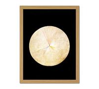 Wee Blue Coo Abstract Circle Hilma Af Klint No 14 Swan Artwork Framed Wall Art Print 18X24 Inch
