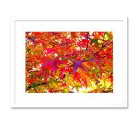 Wee Blue Coo Abstract Nature Autumn Fall Leaves Red Picture Framed Wall Art Print