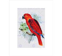 Wee Blue Coo Abstract Painting Nature Bird Parrot Red Cool Wall Art Print