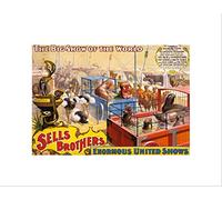 Wee Blue Coo Advert Exhibition Show Sells Brothers Menagerie Zoo Wall Art Print