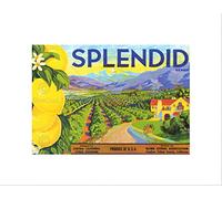 Wee Blue Coo Advert Fruit Farm Food Brand Splendid Lemons Wall Art Print