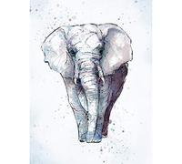 Wee Blue Coo African Elephant Watercolour Unframed Art Print Poster Wall Decor 12X16 Inch