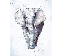 Wee Blue Coo African Elephant Watercolour Unframed Wall Art Print Poster Home Decor Premium