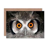 Wee Blue Coo AFRICAN WHITE FACED OWL WIDE EYES BIRD BIRTHDAY BLANK GREETINGS CARD