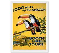 Wee Blue Coo Amazon Toucan River Brazil South America Jungle Rain Forest Vintage Travel Advert Artwork Framed Wall Art Print A4