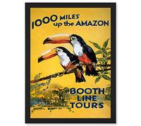 Wee Blue Coo Amazon Toucan River Brazil South America Jungle Rain Forest Vintage Travel Advert Artwork Framed Wall Art Print A4