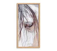 Wee Blue Coo Andalusian Horse Head Eye Close Up Long Panel Framed Wall Art Print