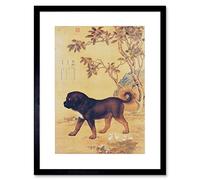 Wee Blue Coo Animal Castiglione Prized Dogs Cangni Tibetan Mastiff Framed Wall Art Print
