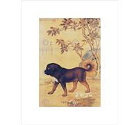 Wee Blue Coo Animal Castiglione Prized Dogs Cangni Tibetan Mastiff Wall Art Print