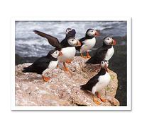 Wee Blue Coo Animal North Atlantic Puffins Art Print Framed Poster Wall Decor 12X16 Inch