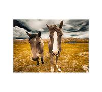 Wee Blue Coo Animal Photo Duo Horses Close Up Faces Framed Art Print Poster F12X9955