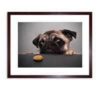 Wee Blue Coo Animal Photo Pug Dog Treat Food Eyes Cute Framed Wall Art Print