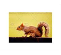 Wee Blue Coo Animal Rodent Squirrel Bushy Tail Furry Cute Wall Art Print
