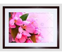 Wee Blue Coo Apple Blossom Pink Flower Art Framed Wall Art Print