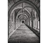 Wee Blue Coo Armfield Stone Arched Hallway Art Print Poster Wall Decor 12X16 Inch