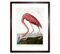 Wee Blue Coo Audubon American Flamingo Artwork Framed Wall Art Print 12X16 Inch
