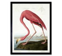 Wee Blue Coo Audubon Flamingo Vintage Bird Illustration 12x16" Framed Art Print in Pink | Size: W12" x H16" Wee Blue Coo Pink W12" x H16"
