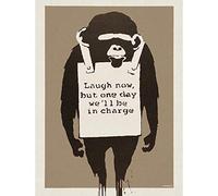 Wee Blue Coo Banksy Laugh Now Graffiti Street Art Print Poster Wall Decor 12X16 Inch