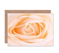 Wee Blue Coo BEIGE CREAM ROSE FLOWER MACRO BIRTHDAY GIFT BLANK GREETINGS CARD