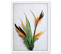 Wee Blue Coo Bird of Paradise Stem Leaves and Flowers Tropical Plant Botanical Artwork Framed A3 Wall Art Print