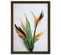 Wee Blue Coo Bird of Paradise Stem Leaves and Flowers Tropical Plant Botanical Artwork Framed A3 Wall Art Print