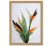 Wee Blue Coo Bird of Paradise Stem Leaves and Flowers Tropical Plant Botanical Artwork Framed A3 Wall Art Print