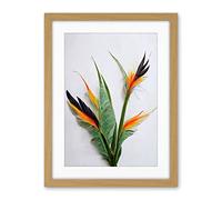 Wee Blue Coo Bird Of Paradise Stem Leaves And Flowers Tropical Plant Botanical Artwork Framed Wall Art Print 18X24 Inch