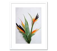 Wee Blue Coo Bird Of Paradise Stem Leaves And Flowers Tropical Plant Botanical Artwork Framed Wall Art Print 12X16 Inch