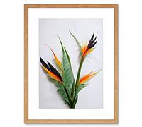 Wee Blue Coo Bird Of Paradise Stem Leaves And Flowers Tropical Plant Botanical Artwork Framed Wall Art Print 12X16 Inch