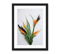 Wee Blue Coo Bird Of Paradise Stem Leaves And Flowers Tropical Plant Botanical Artwork Framed Wall Art Print 18X24 Inch