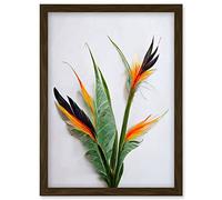 Wee Blue Coo Bird of Paradise Stem Leaves and Flowers Tropical Plant Botanical Artwork Framed Wall Art Print A4