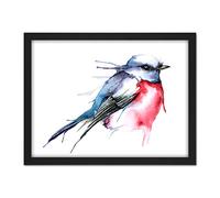 Wee Blue Coo Bird Robin Watercolour Artwork Framed Wall Art Print 18X24 Inch