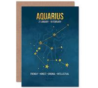 Wee Blue Coo BIRTHDAY CARD - ZODIAC STAR SIGN ASTROLOGY BLUE AQUARIUS