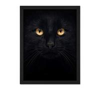 Wee Blue Coo Black Cat Face Close Up Artwork Framed Wall Art Print 18X24 Inch