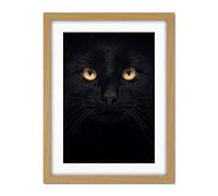 Wee Blue Coo Black Cat Face Close Up Artwork Framed Wall Art Print 18X24 Inch