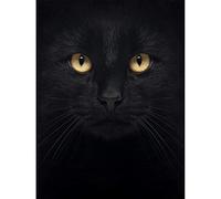 Wee Blue Coo Black Cat Face Close Up Unframed Wall Art Print Poster Home Decor Premium