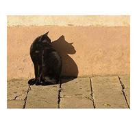 Wee Blue Coo Black Cat Outside Animal Art Print Poster Wall Decor 12X16 Inch