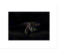Wee Blue Coo Black Cat Yellow Eyes Lazy Sleepy Art Picture Wall Art Print