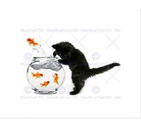 Wee Blue Coo Black Kitten Cat Goldfish Bowl Art Picture Wall Art Print
