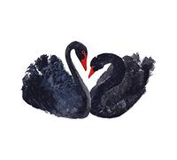 Wee Blue Coo Black Swans Painting Large Wall Art Print Canvas Premium Poster