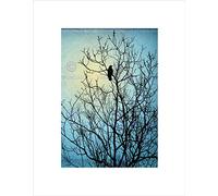 Wee Blue Coo Black Tree Blue Illustration Raven Silhouette Wall Art Print