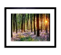 Wee Blue Coo Bluebell Wood Sunrise Trees Photo Framed Wall Art Print
