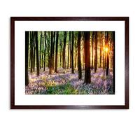 Wee Blue Coo Bluebell Wood Sunrise Trees Photo Framed Wall Art Print