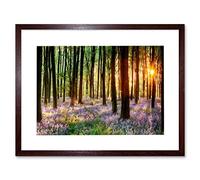 Wee Blue Coo Bluebell Wood Sunrise Trees Photo Framed Wall Art Print